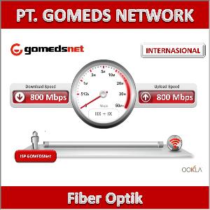 Fiber Optik Internasional 800 Mbps Dedicated