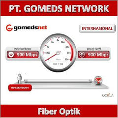 Fiber Optik Internasional 900 Mbps Dedicated