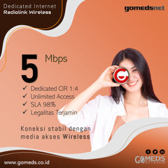 Wireless Internet 5 Mbps